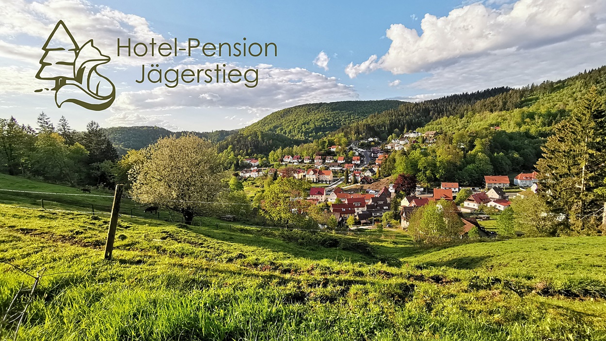 Umgebung Jägerstieg Natur Bad Grund